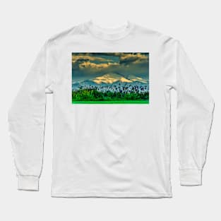 Summer Promises Return - Iris Sunrise Long Sleeve T-Shirt